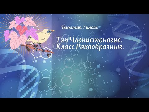 Биология 7 кл Пасечник §44 Тип Членистоногие. Класс Ракообразные