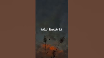 القارئ #المنشاوي #سورة_غافر #المصحف #quran #قران_كريم #راحة_نفسية #تلاوات #تلاوة_خاشعة #quote