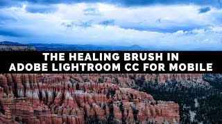 How To Use The Healing Brush In The Adobe Lightroom For Mobile App screenshot 1