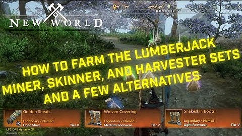 Best farm for the Lumberjack set, Miner set, harvesting set, and skinning set in New World 2023