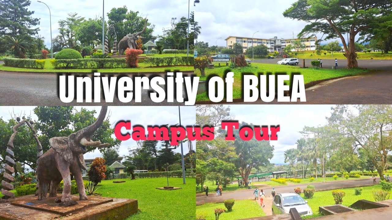 University of BUEA Cameroon Campus - Maxresdefault