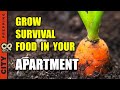25 Survival Vegetables To Grow In Your Apartment (pt2)