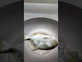 #satisfying #trending #asmr #shorts #frying #fish #