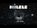 Elly Hustle Milele Official Audio Elly Hustle Milele Official Audio