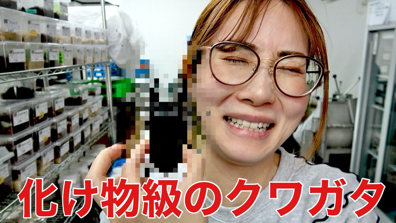 とあるショップを訪問したらギネス級のとんでもない個体が....