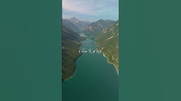 {هَيْهَاتَ هَيْهَاتَ لِمَا تُوعَدُونَ...} القاري #سعدالغامدي سورة المؤمنون