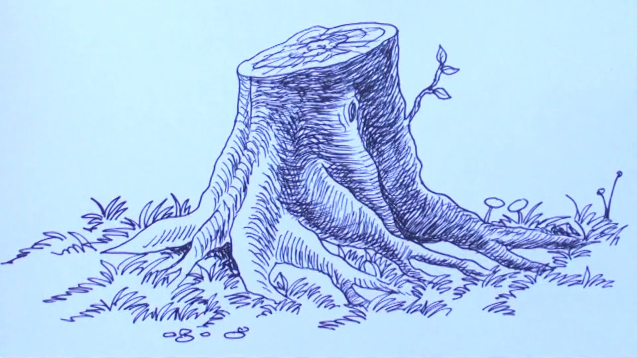 uprooted tree drawing