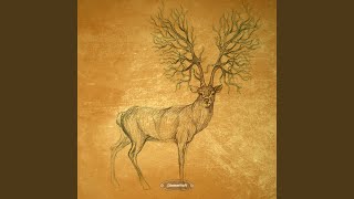 Submission (Dan Rubell Remix) Profile