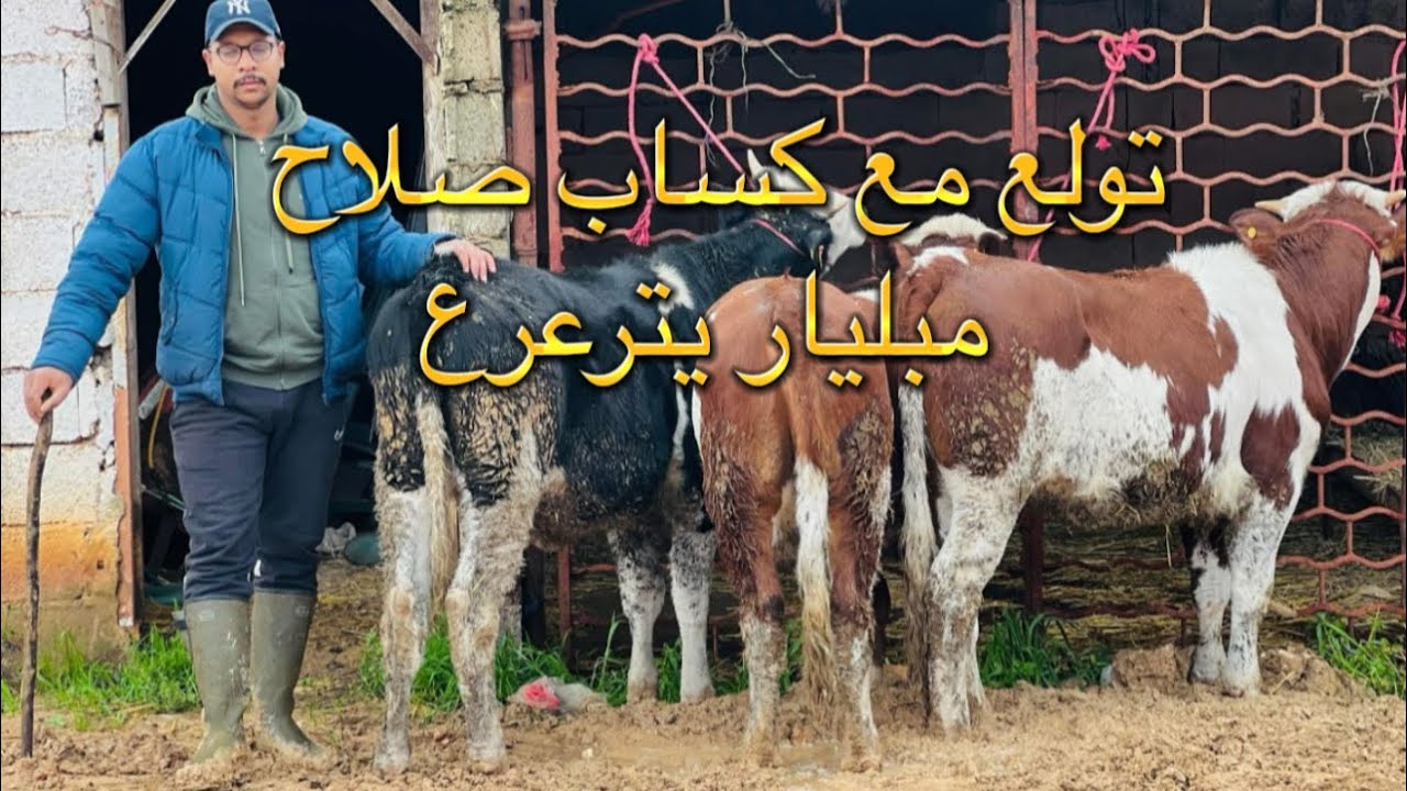 اول مرة كساب صلاح جاب عجلات تاصيل مستوى عالي مرحبا بكم  