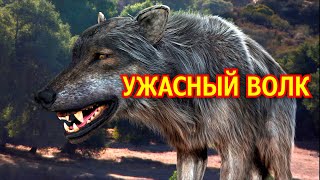 Ужасный волк. Лютоволк из плейстоцена. Вымершее животное. Видео про животных