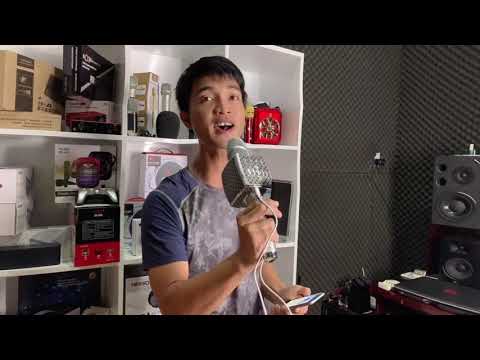 Video: Micro Karaoke Không Dây Kèm Loa: Tích Hợp Loa Bluetooth Và ổ đĩa Flash. Làm Thế Nào để Sử Dụng? Đánh Giá Tốt Nhất