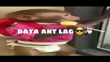 🎳 Data Ant Lag #mta
