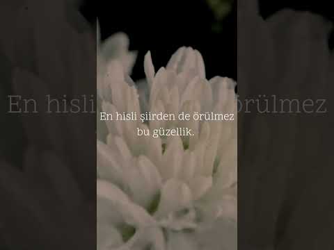Hüseyin Nihal Atsız-Yolların