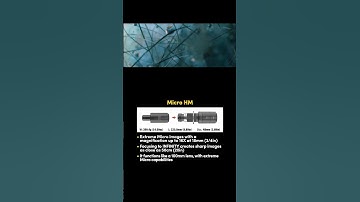 Looking at a flash bulb with a microscope | TS-160 Micro HM 60,000 fps