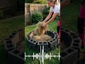 Transform Your Backyard Into a Dream Garden (On a Budget!)