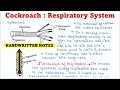Cockroach | Respiratory system