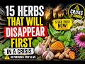 The 15 Herbs That Vanish First. #Survivalherbs #herbalremedies