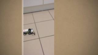 Program LEGO WeDo 2.0 with Scratch