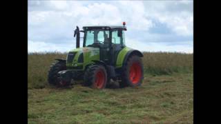 Rétrospective 2014 des vaches salers de l'élevage Fournier.