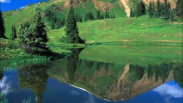 سورة فصلت كاملة بصوت القارئ الشيخ ابراهيم العسيري