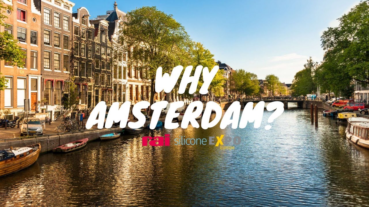 アムステルダム amsterdam タッパー MLサイズ 未使用品 sariater-hotel.com