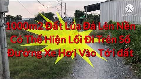 Bán 1000m2 Đất Lúa 2 Sổ Hồng Riêng Có Bán Lẻ Giá Bán Hết 2ty3 Mỹ Lộc Cần Giuộc Long An