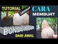 TUTORIAL LENGKAP CARA MEMBUAT BONSAI KELAPA DARI AWAL