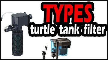 Types of Filters for Turtle Tank (Must Watch for Turtle Owners)