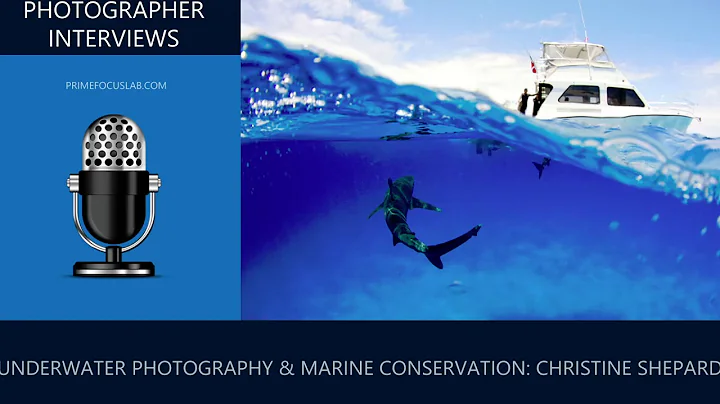 Photographer Interview: Christine Shepard Talks Ab...