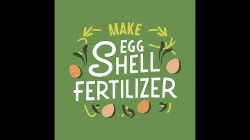 Creating Calcium Fertilizer from Egg Shells | DIY Water Soluble Calcium Fertilizer