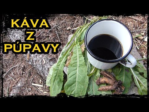 Video: Odrody púpavy – rôzne kvety púpavy v záhrade