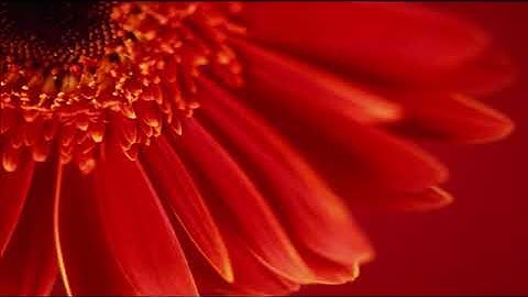 Windows Movie Maker 6.0.6 Effects  All Adding Speed Up, Double with music SD