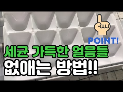 Sub) 세균가득 얼음틀 살균 소독 세척법!!! | 얼음틀 세척법 | 미니멀라이프 | #미니멀라이프별맘