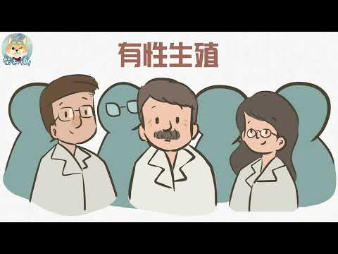 严肃科普：为什么“性”让生命充满欢喜？Why does "sex" make life full of joy?【柴知道】【科普】