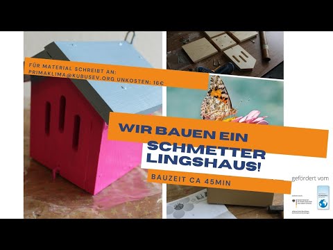 Video: DIY Butterfly Shelter: Wie man ein Schmetterlingshaus für den Garten baut