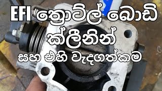 EFI Throttle body cleaning - Part one