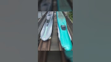 How a Bird Fixed Bullet Train?