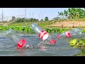 Unique Fishing | Plastic Bottle Fish Trap With Hook | Fish Trap in Cambodia Method 2021