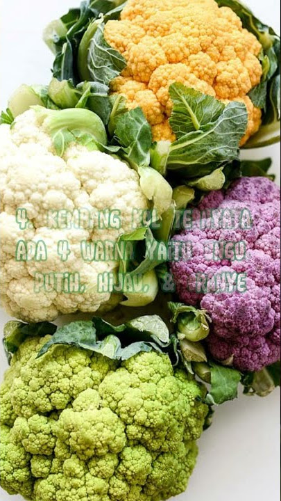 5 Fakta Unik Sayur Kembang Kol #shorts #subscribe #viral #fyp