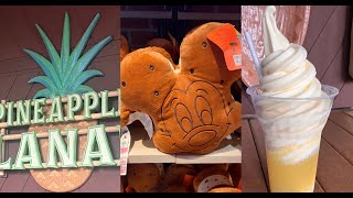 Quick run to Disney springs || World of Disney Merchandise