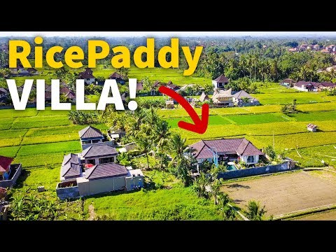 Living in Bali - RICE PADDY VILLA TOUR | Balinese House in Indonesia $77 Per Night!