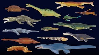 Prehistoric Sea Life 2 - Mosasaurus, Frilled Shark & More - The Kids' Picture Show