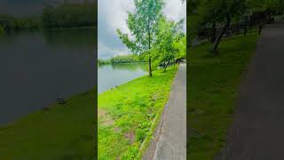 Mentally Freedom 🇪🇺🇹🇩🍃 #nature #lake #relaxing #shortvideo #shorts