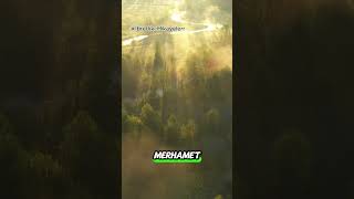 O Adam Neden Affedildi?