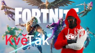 Hraju fortnite z chatem!