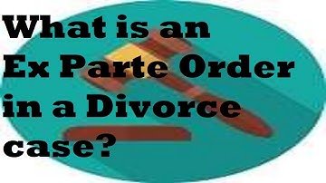 Ex Parte Orders in a Michigan divorce explained
