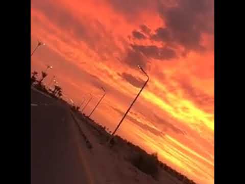 حلوة الدنيا بيك تامر عاشور