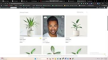 Free WordPress eCommerce Website Tutorial | No Domain & Hosting Needed | Use Pantheon.io" Bangla