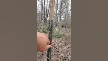 How to install t post clips to a t post using bending tool