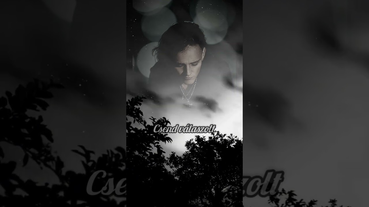 Csend válaszolt 
